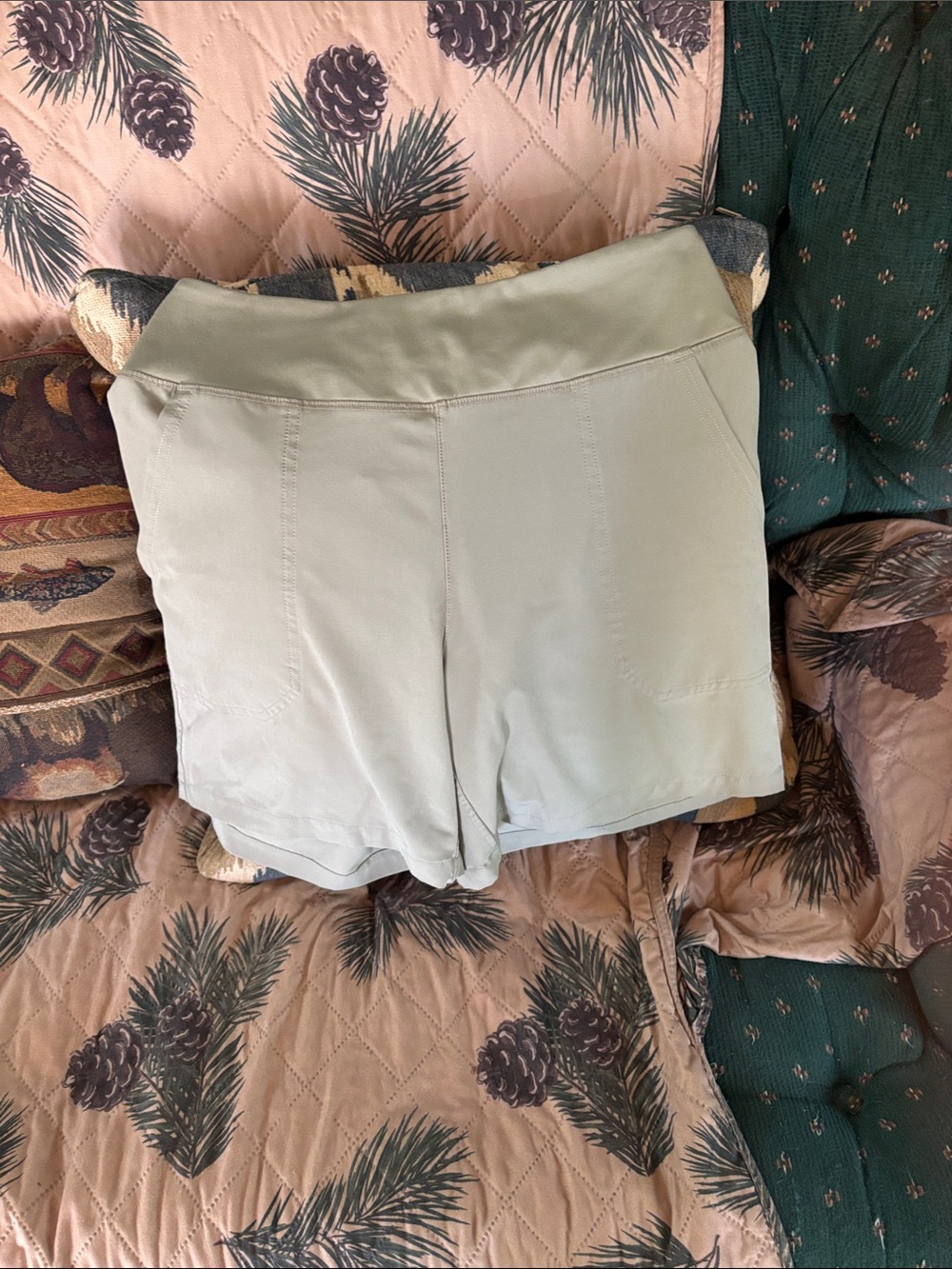 Patagonia Women's Light Sage Stretch Pull-On Shorts